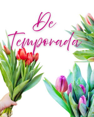 De temporada