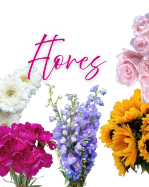 Flores