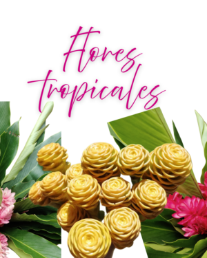 Flores tropicales