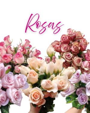 Rosas